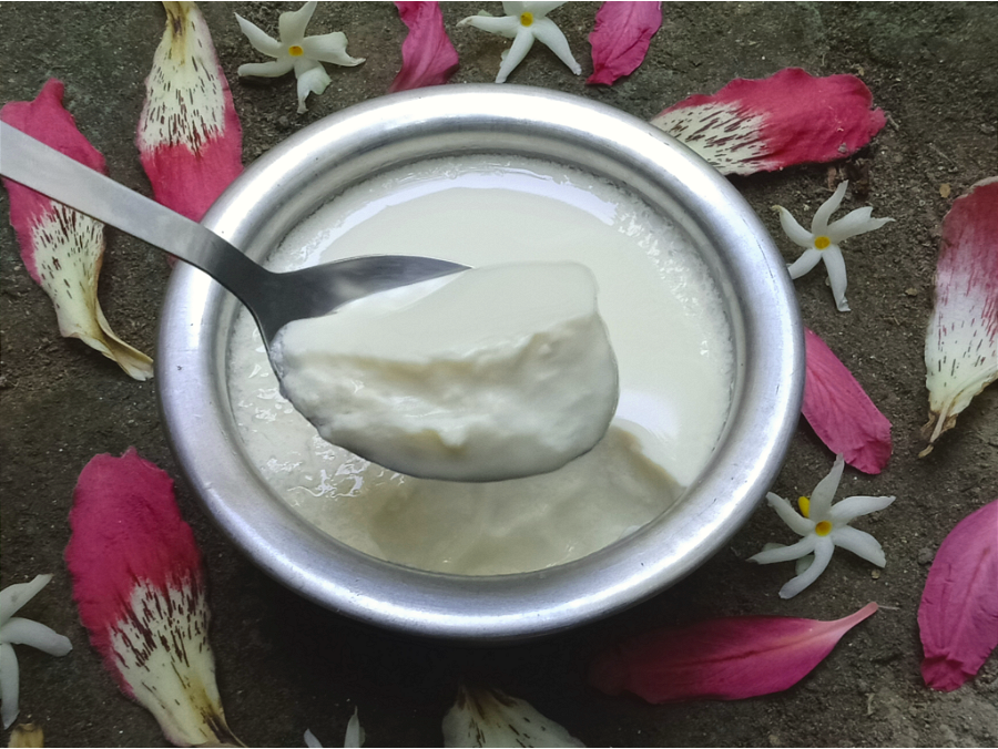 Soy Curd (with soy milk powder)
